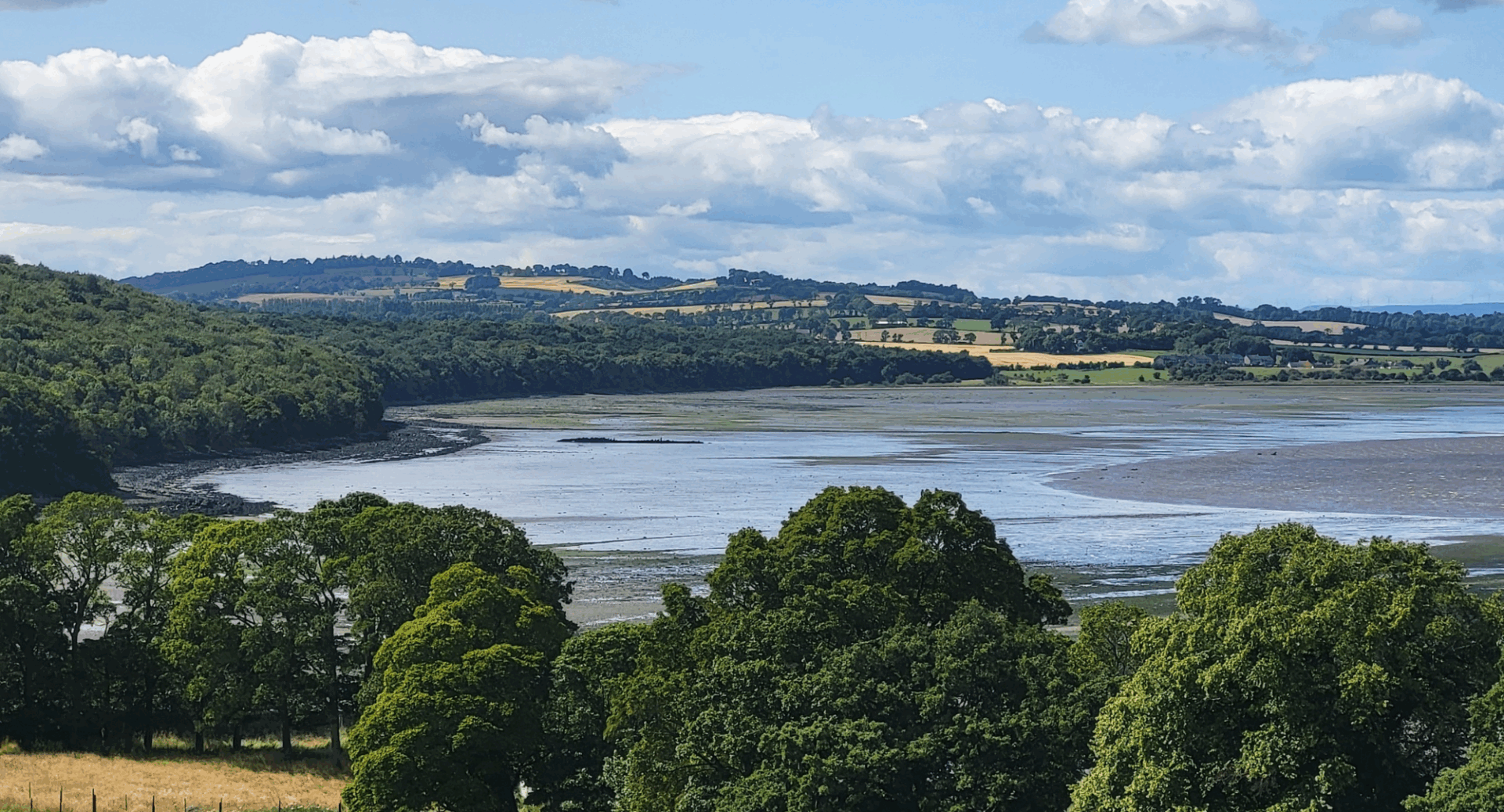 View of coastal bay, with trees in background and foreground.