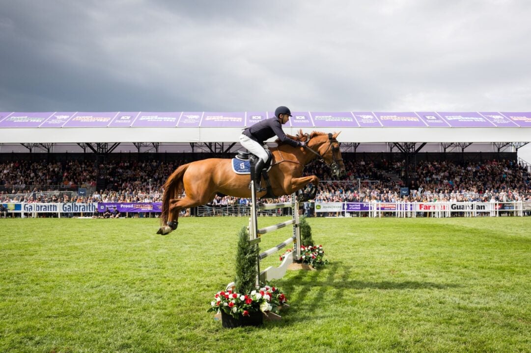 Horse and jockey in mid-flight jumping over a fence. In the background is a full stadium of people watching.