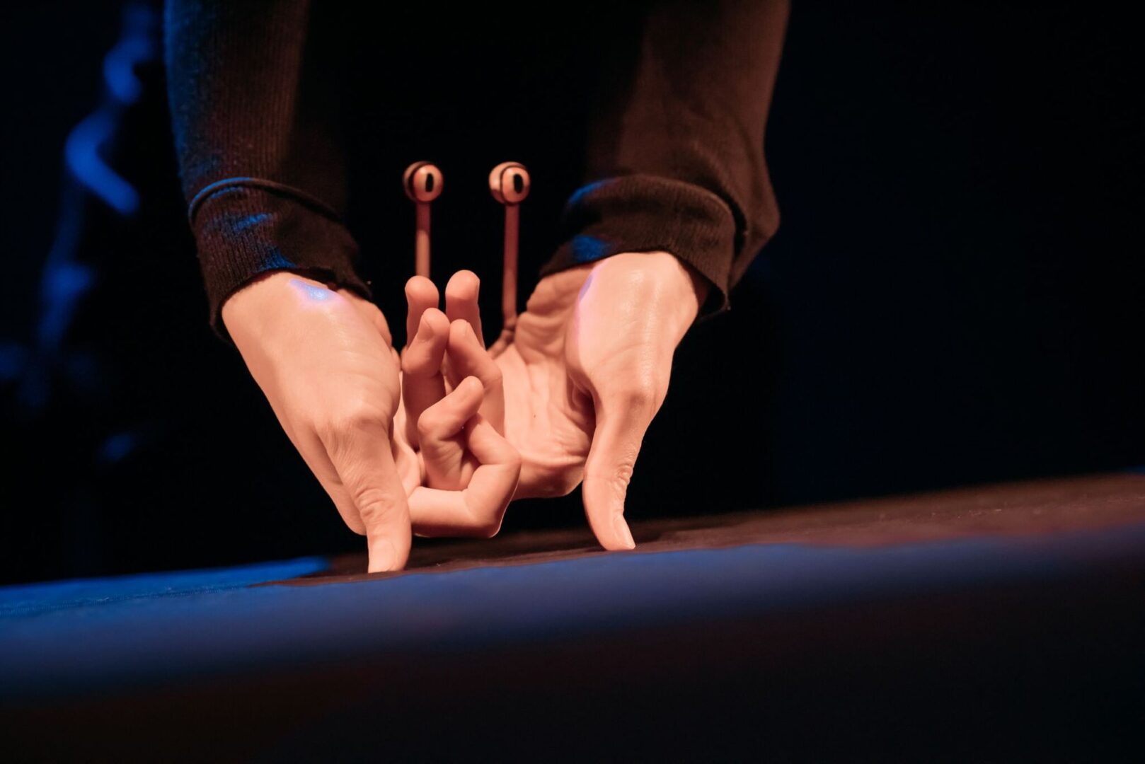 A crab puppet.