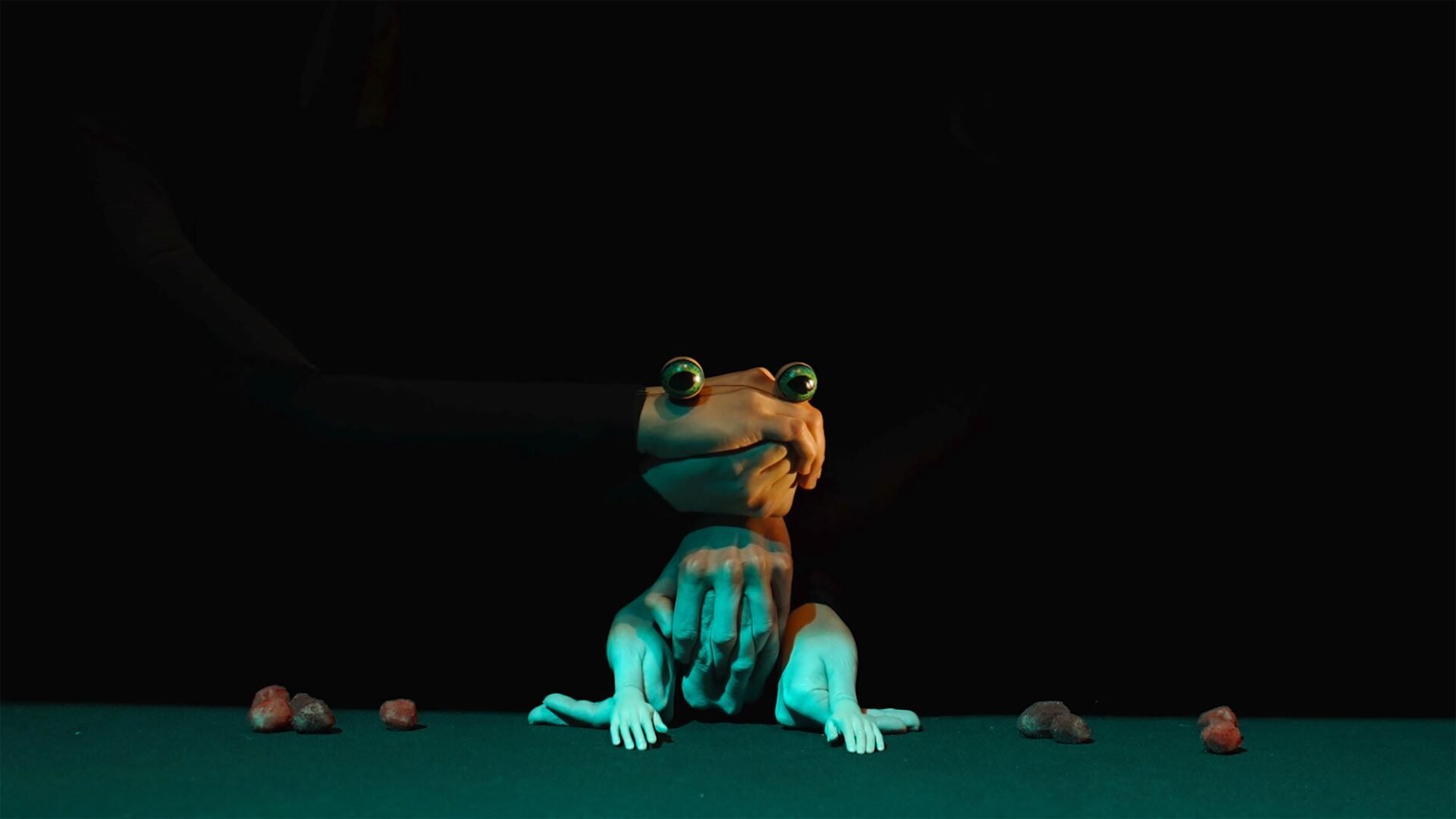 A puppet frog.