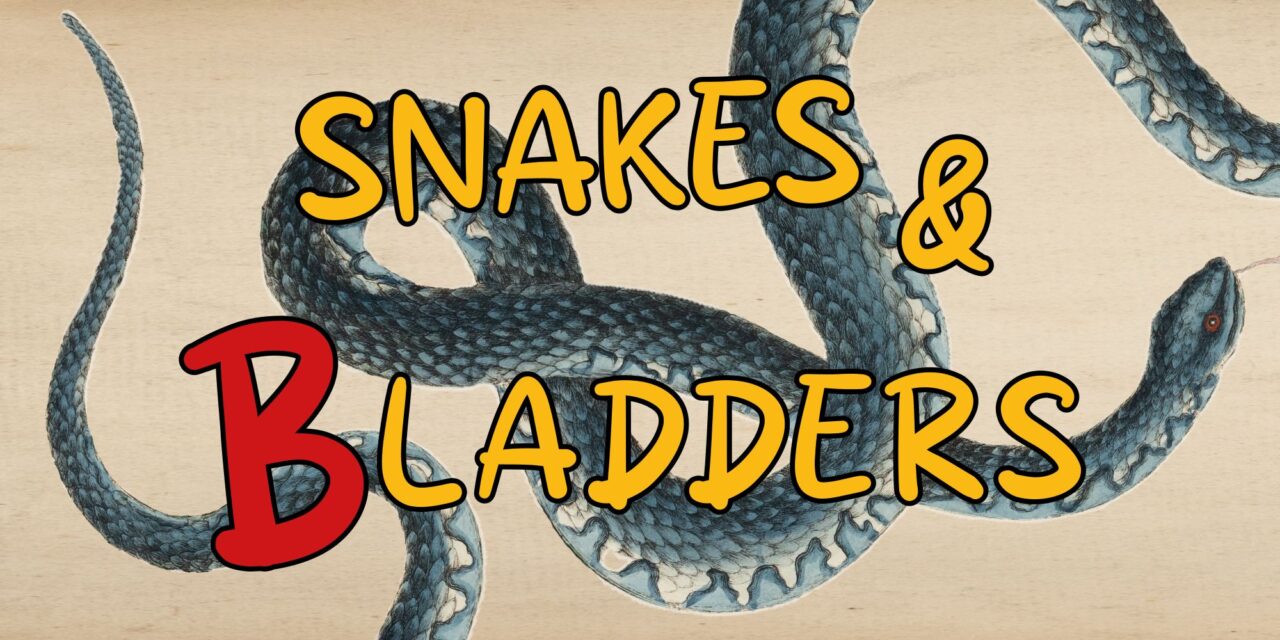 Poster image of a grey snake on a cream background, with the words snakes and bladders written across it.
