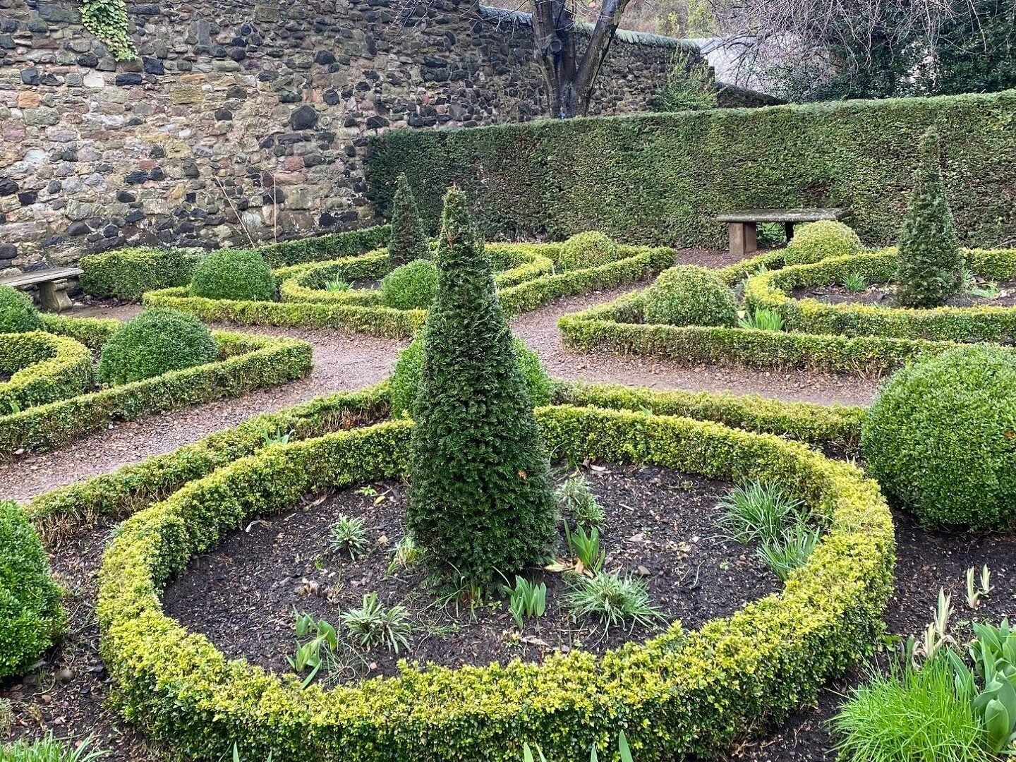 the gardens at Dunbar Close