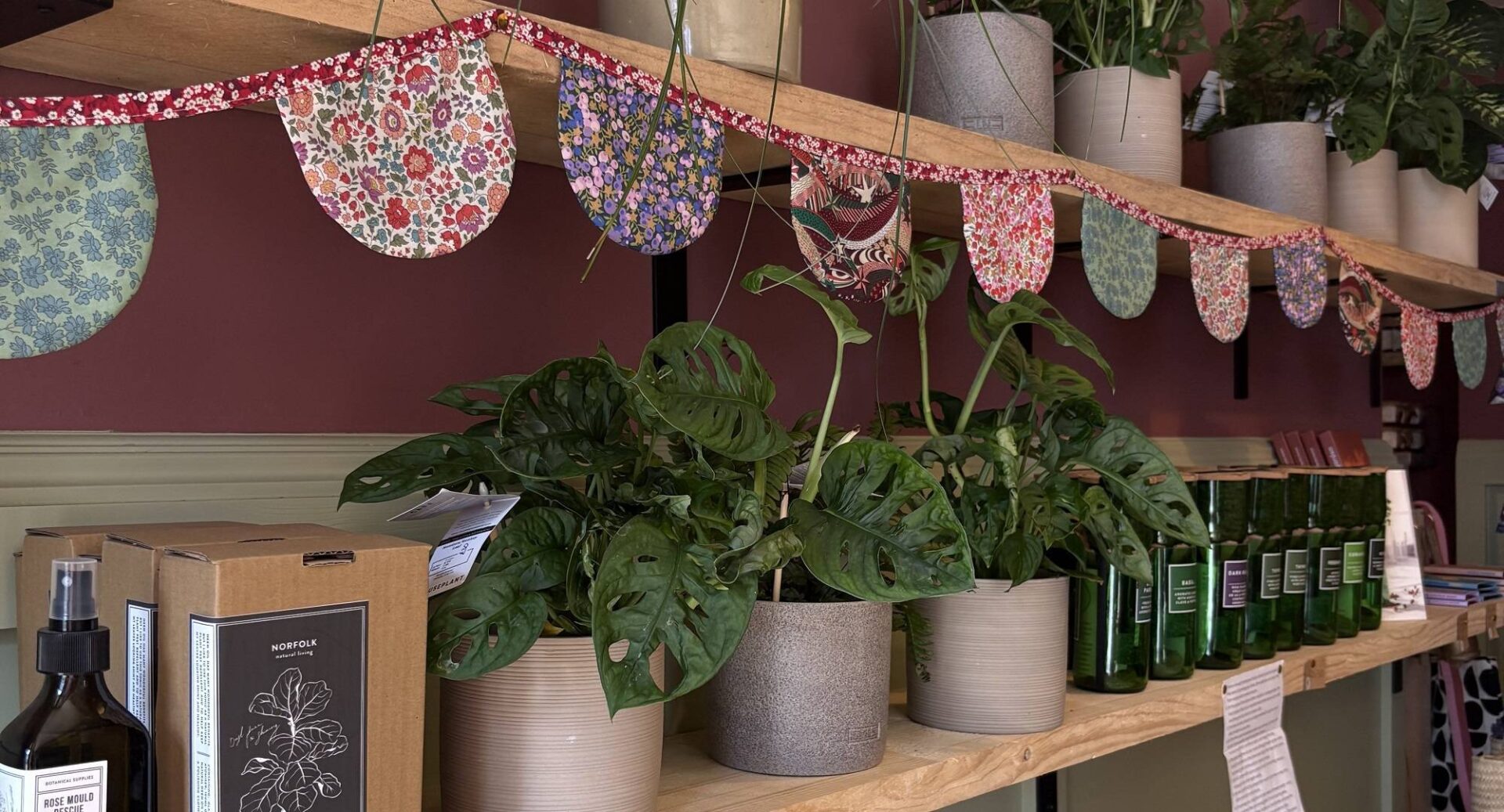 Display shelf of plants at Flowers and Gifts by Emily