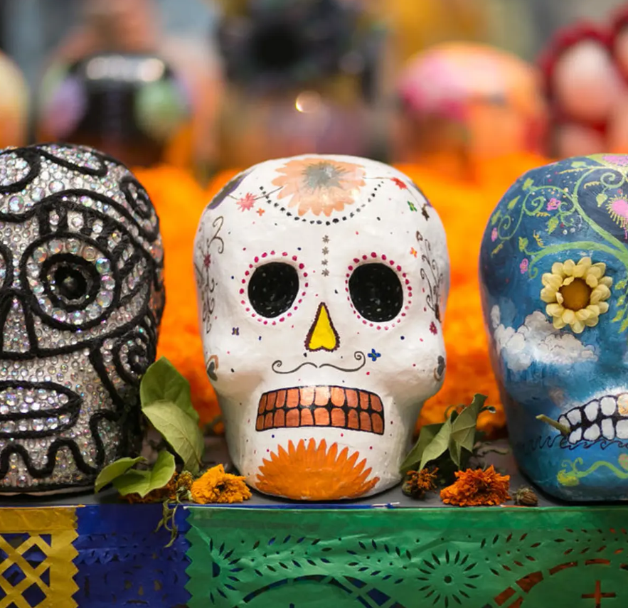 Painted day of the dead skulls