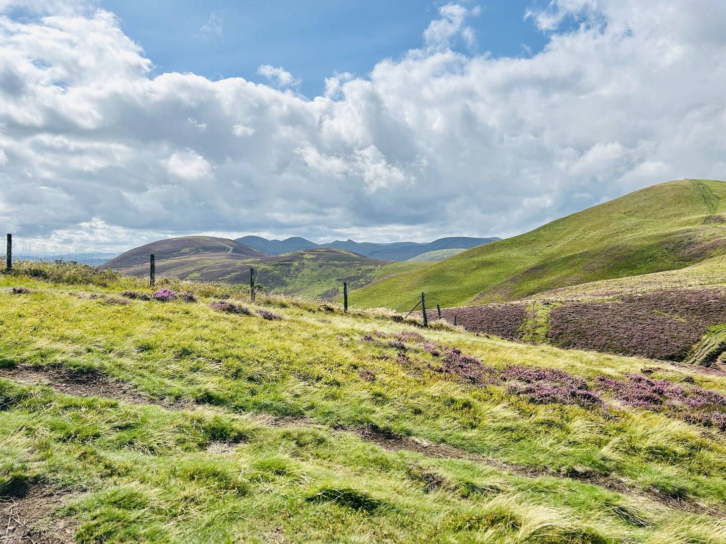 Pentland Hills view from Swanston Brasserie,© Swanston Farm Ltd