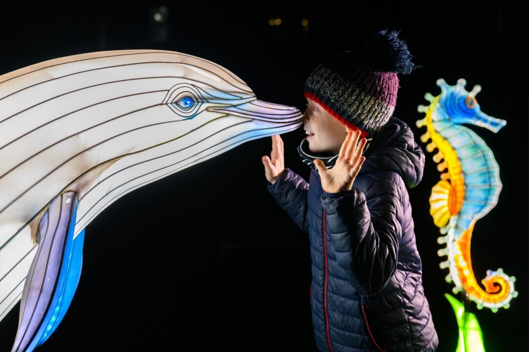 Edinburgh Zoo Lanterns