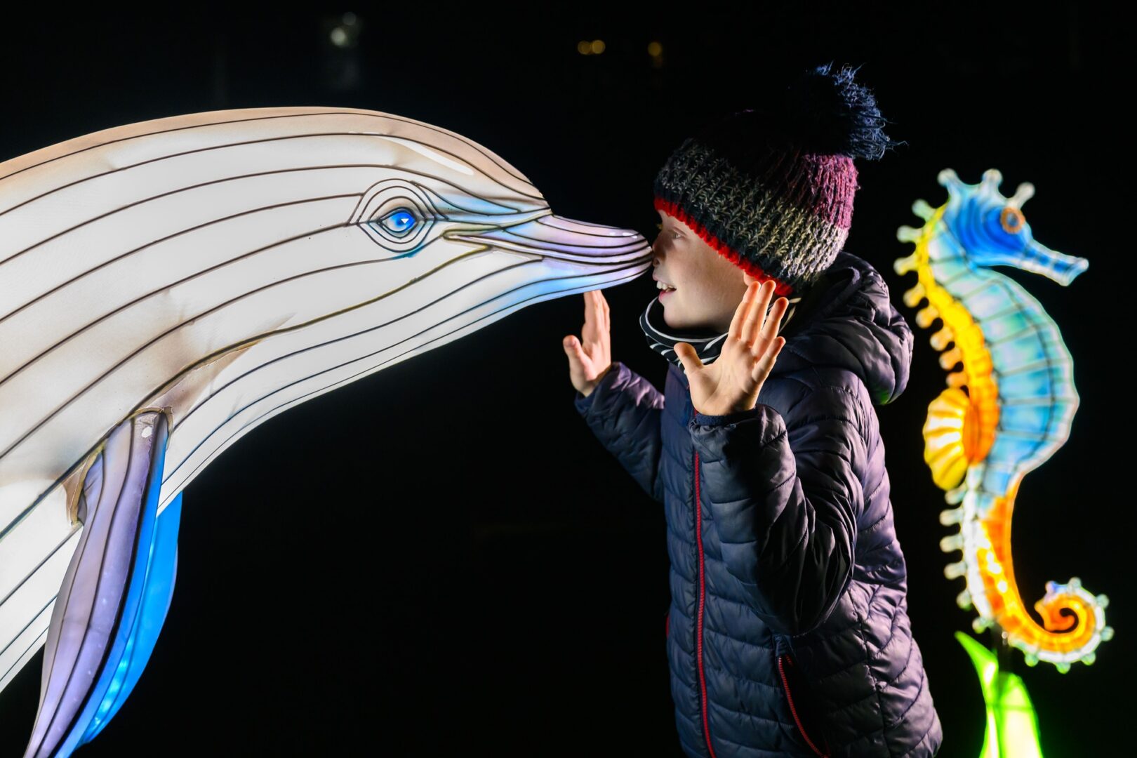 Edinburgh Zoo Lanterns