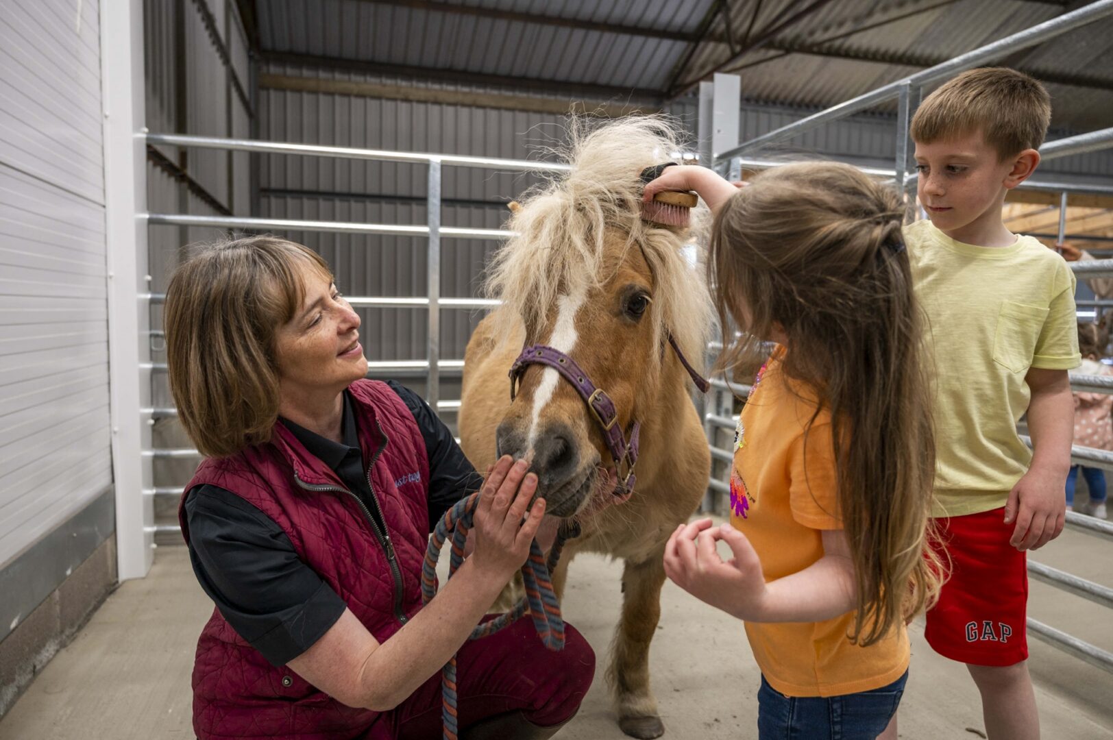 Lady, boy and girl brushing a horse