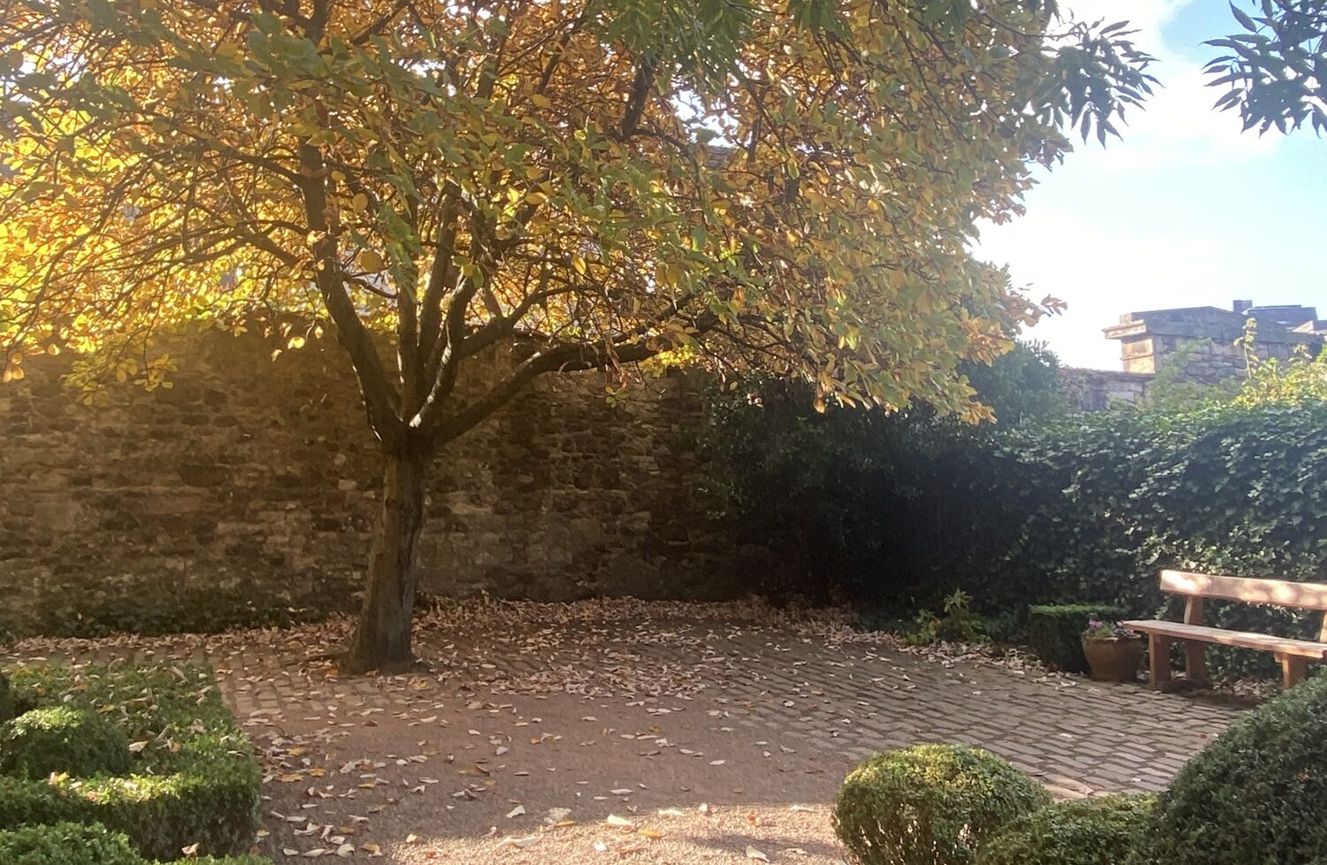 Autumn in Dunbar Close