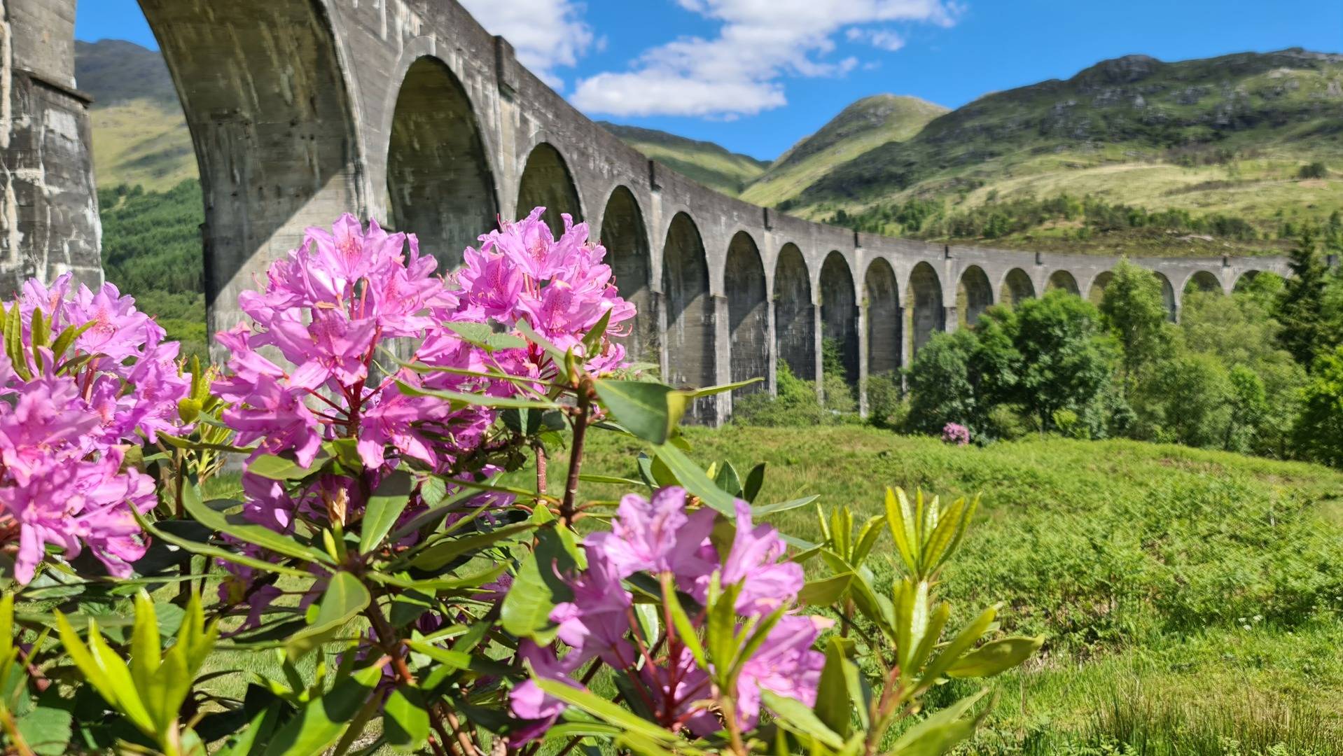 Glenfinnan Viaduct