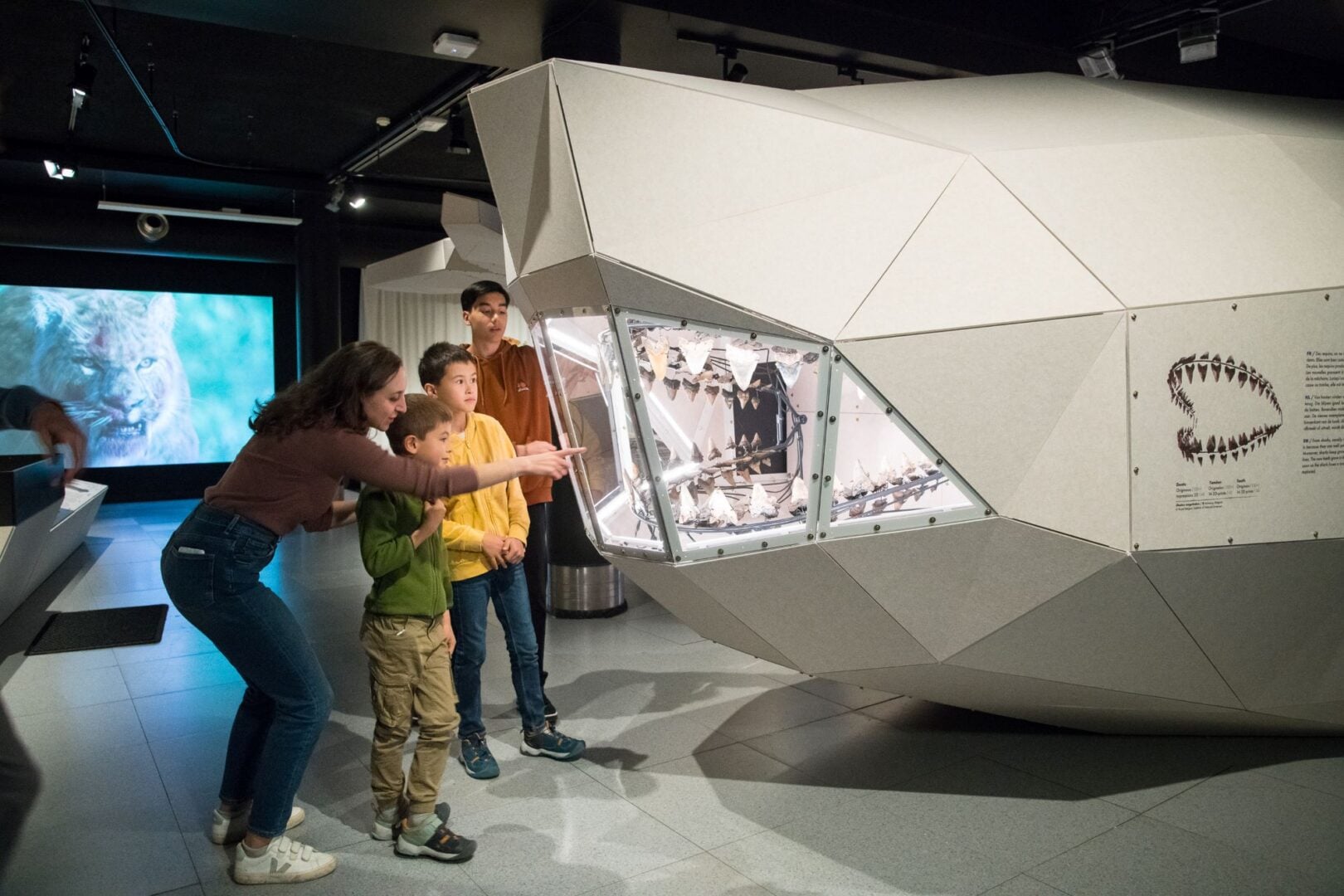 3 children and a woman looking inside the mouth of a life-sized 3D shark.