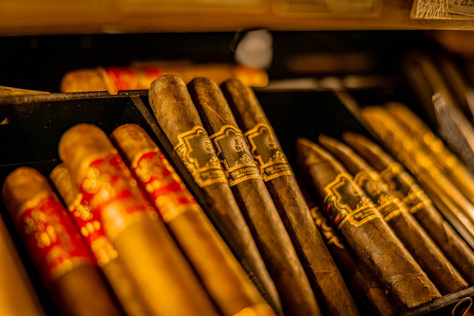 Great Wall and Foundation Cigars inside a humidor in a shop in Edinburgh, Scotland