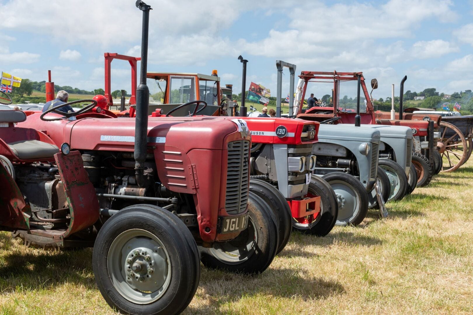 A row of old classis tractors, parked in a field.