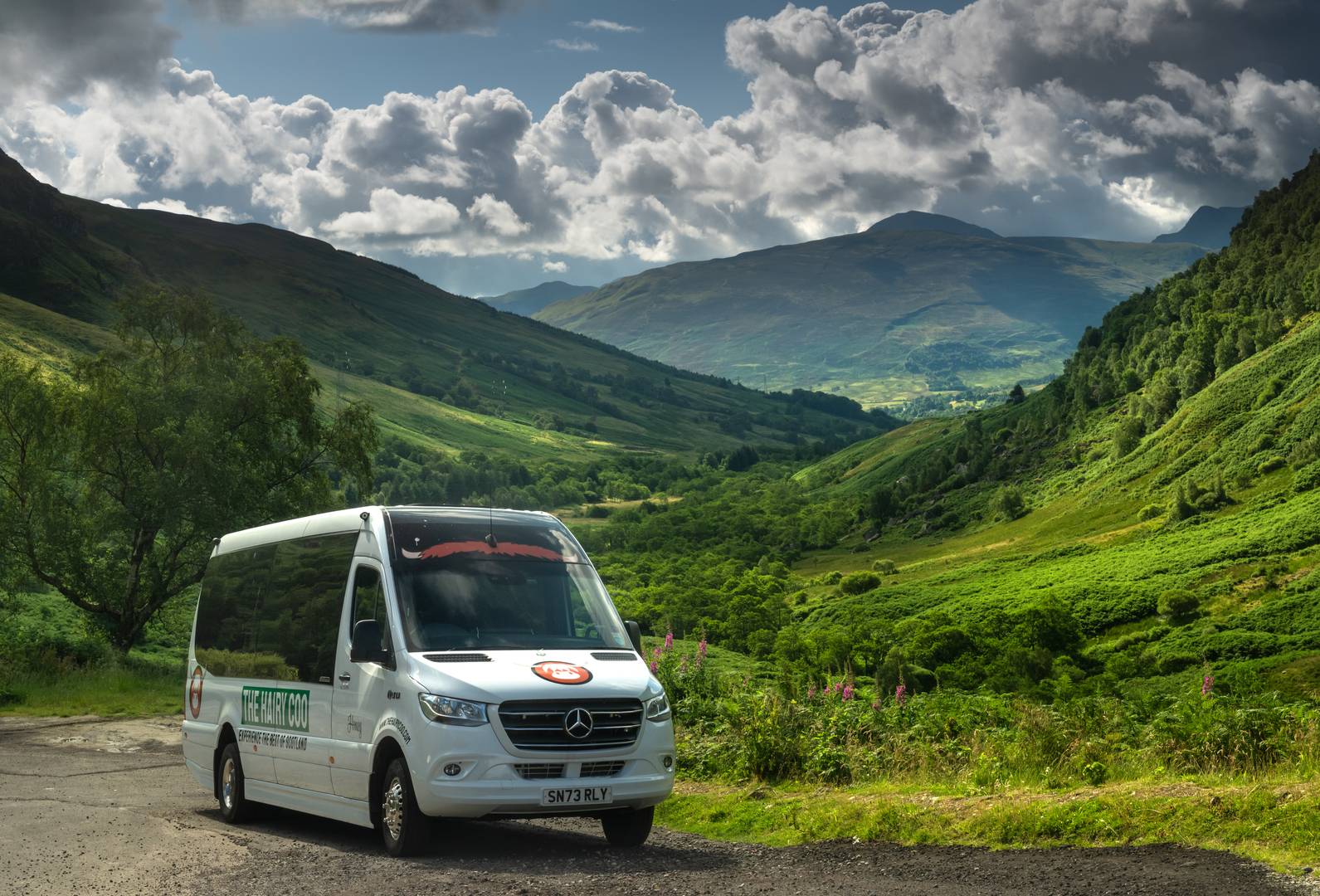 Highland Coo mini bus