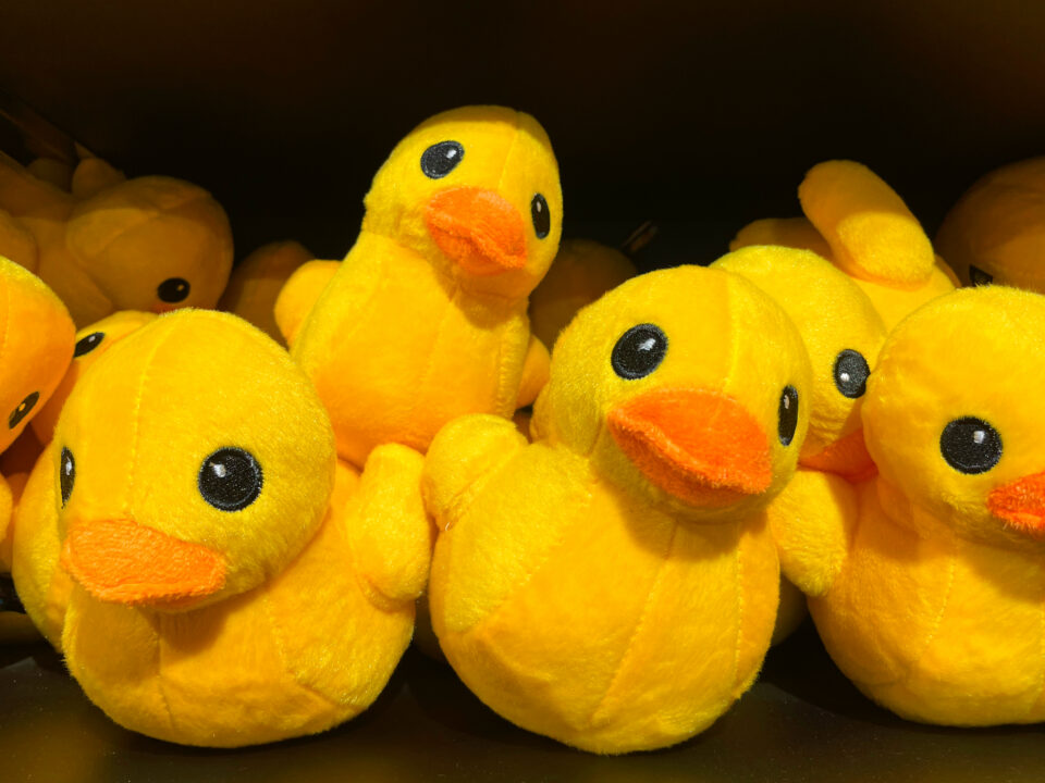 Duck toys on display