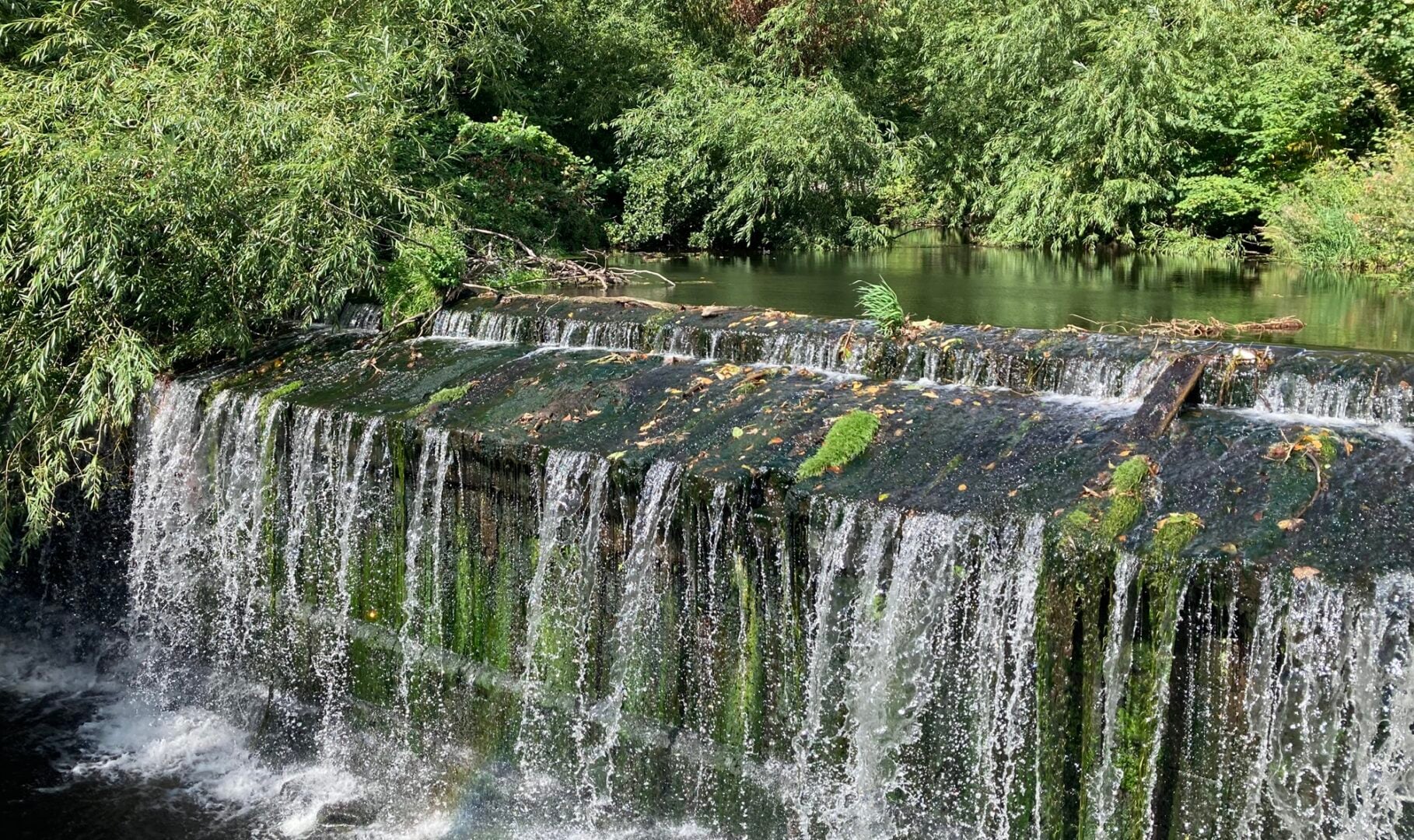 Small Waterfall on Water of Leith Walkway