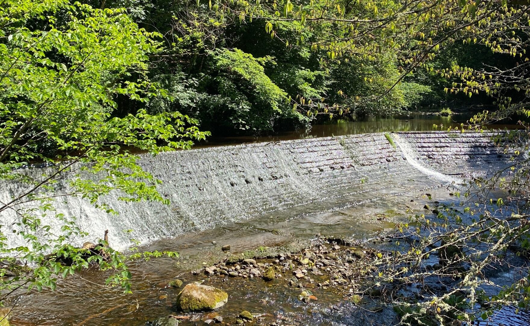 Colinton Water of Leith