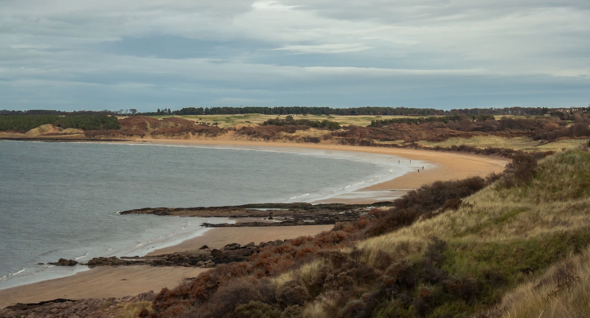 Gullane beach surrounded by grass and vegetation.