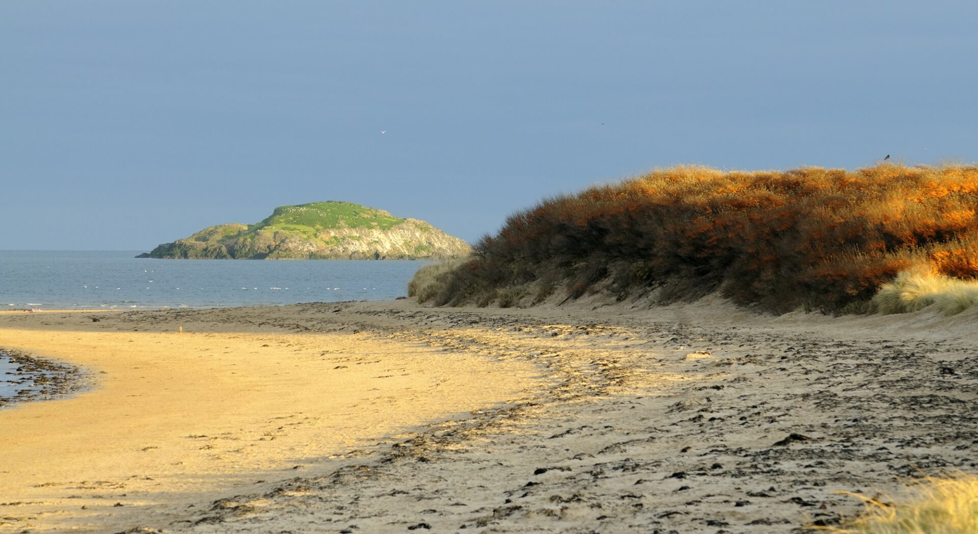Yellowcraig beach dunes, East Lothian