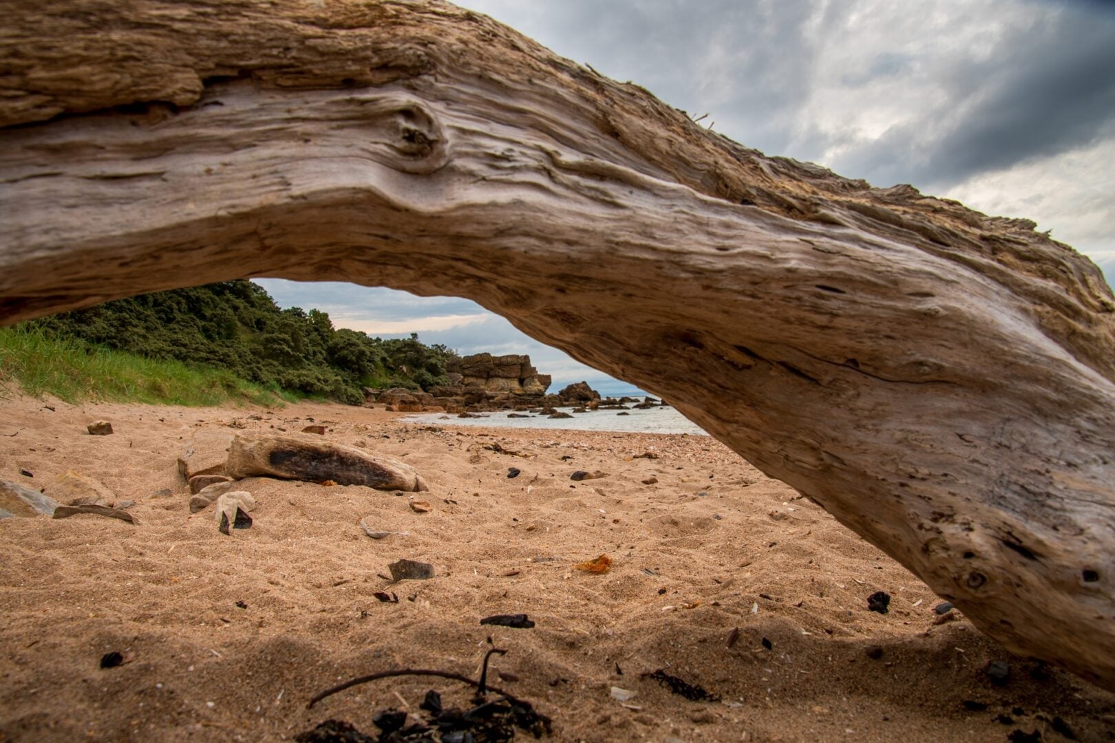 Image taken of Gullane Beach with view of Driftwood and sandy beach