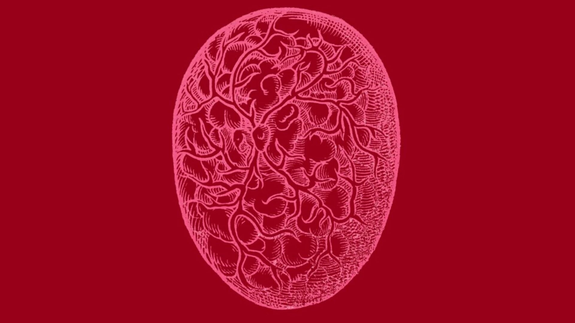 A graphic image of a blood cell.