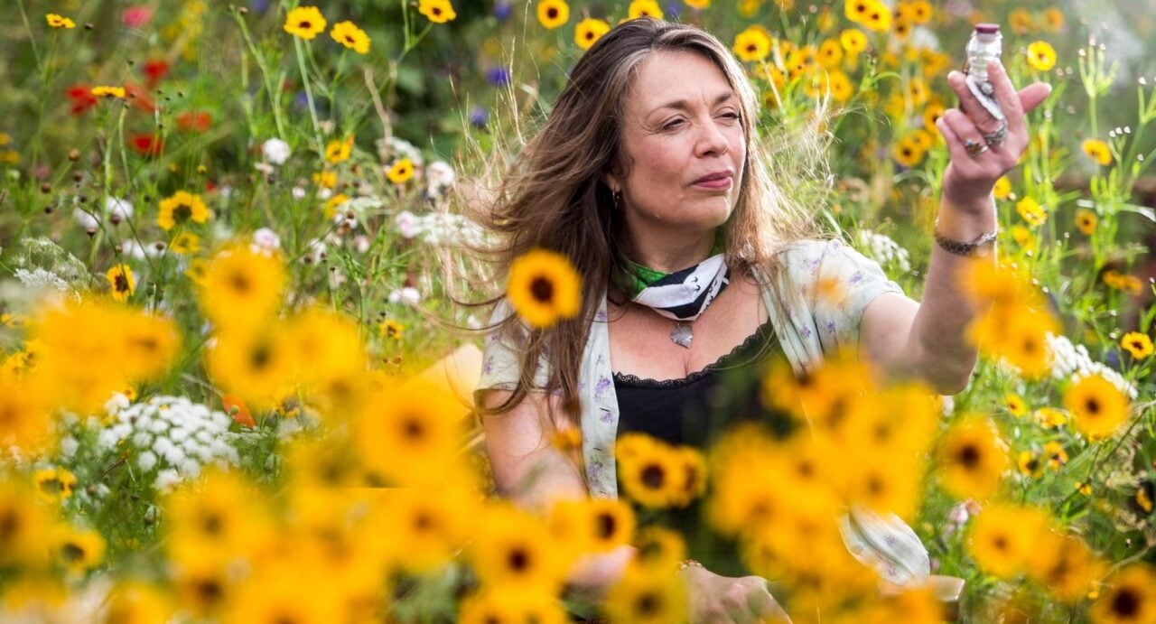 A woman sitting in a grassy meadow, filled with wild flowers.