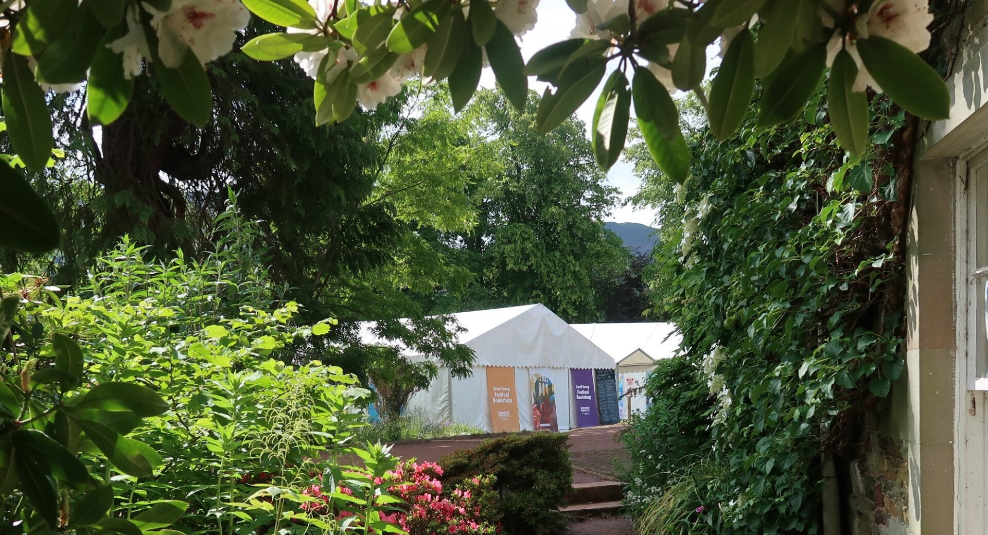 A white marque seen through a gap in green hedges and bushes.