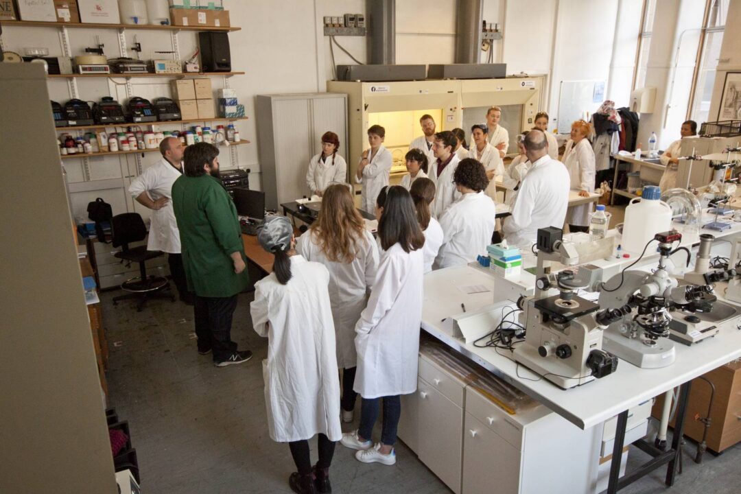 Guide giving talk in Lab to tour group at ASCUS Art & Science,© ASCUS Art & Science