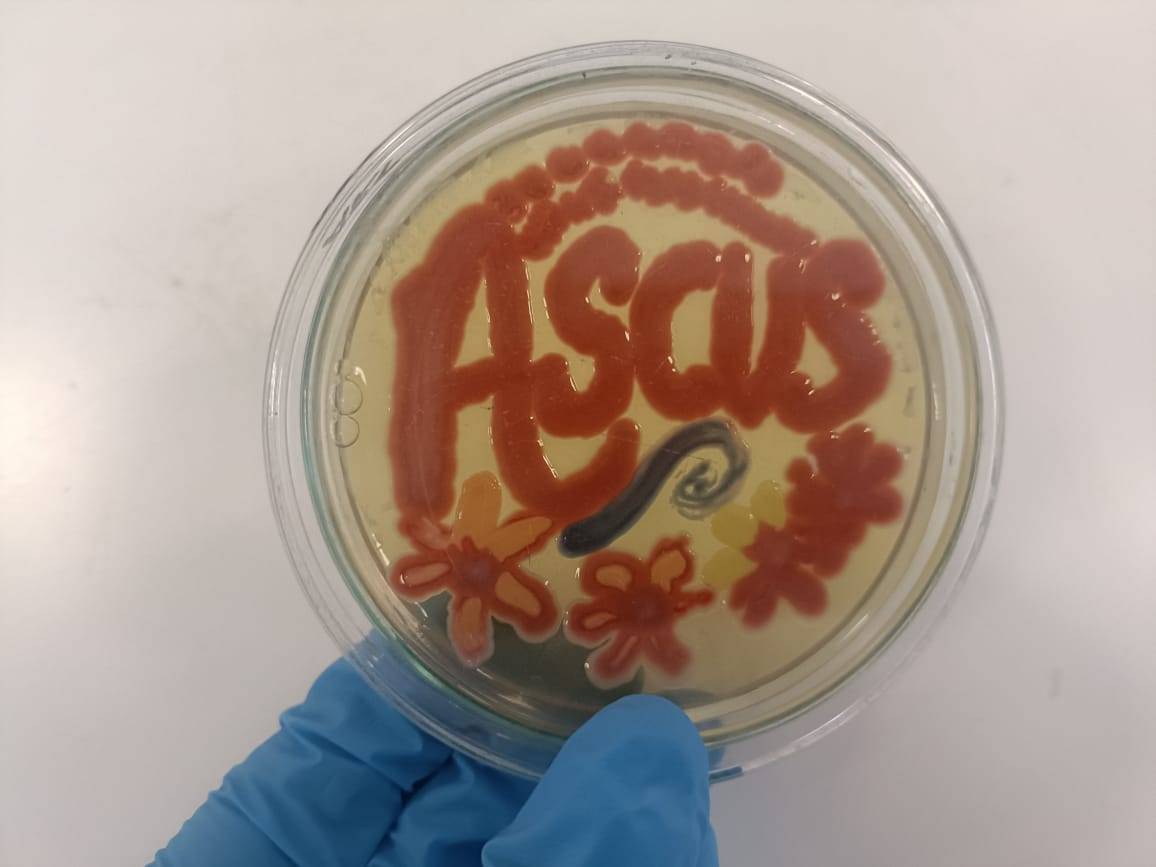 Petri dish with  ASCUS Art & Science logo,© ASCUS Art & Science