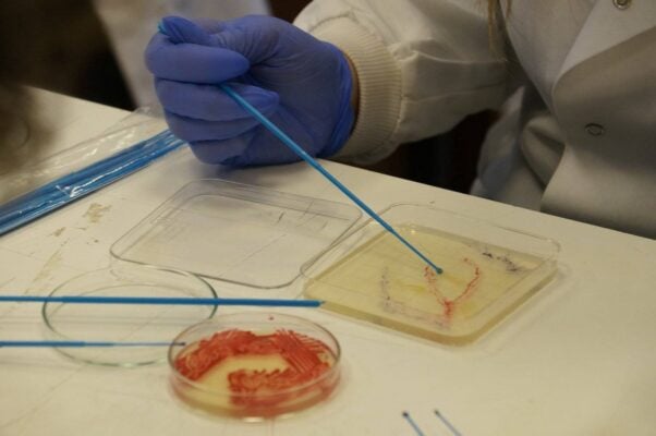 participant in Lab class drawing with paint brush inside petrri dish,© ASCUS Art & Science