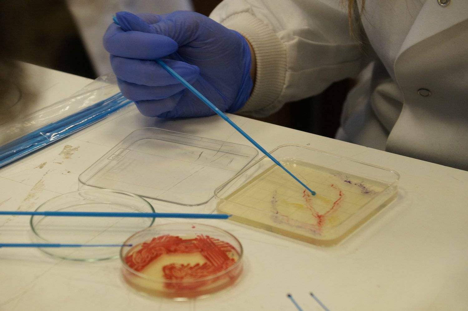 participant in Lab class drawing with paint brush inside petrri dish,© ASCUS Art & Science