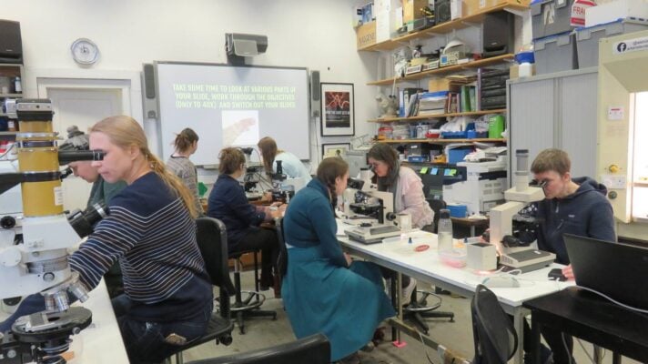 People is lap looking through microscopes,© ASCUS Art & Science