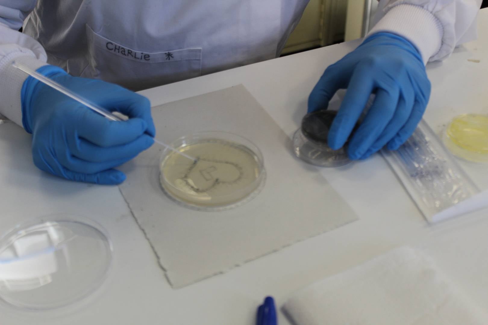 Lab participant painting a heart inside a petri dish,© ASCUS Art & Science
