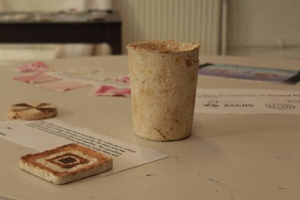 compost small pot part of the Ascuc workshop,© ASCUS Art & Science