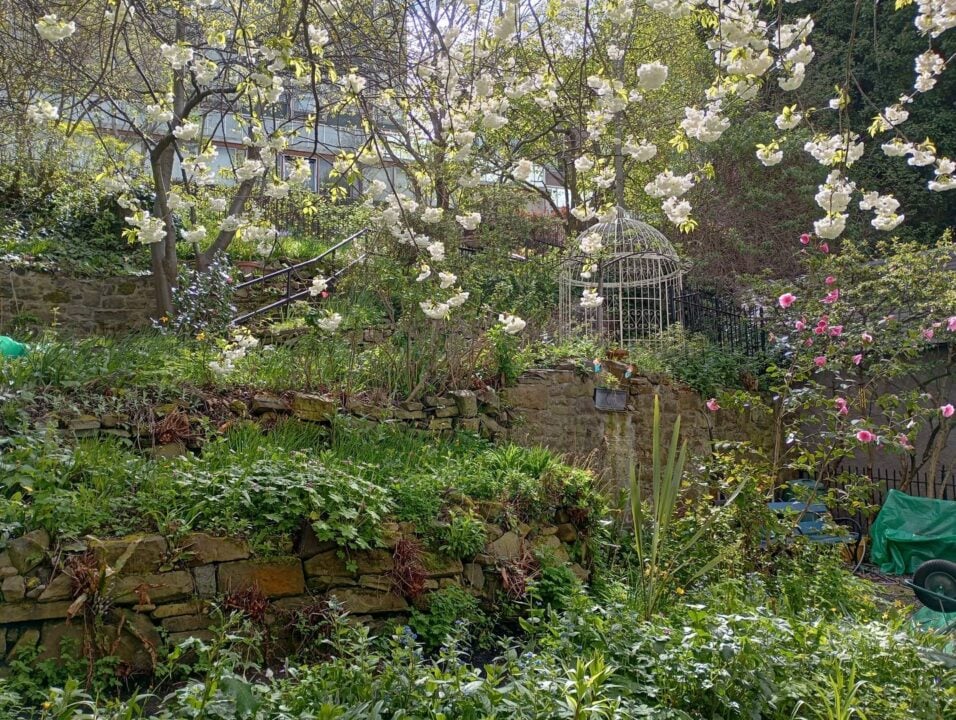 West Port Garden - Cherry blossom and pergola,© GRASS