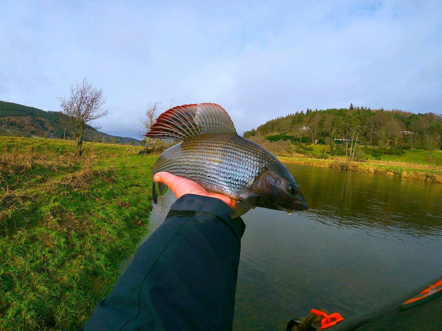 Fish caught with Fly Life Scotland Tour