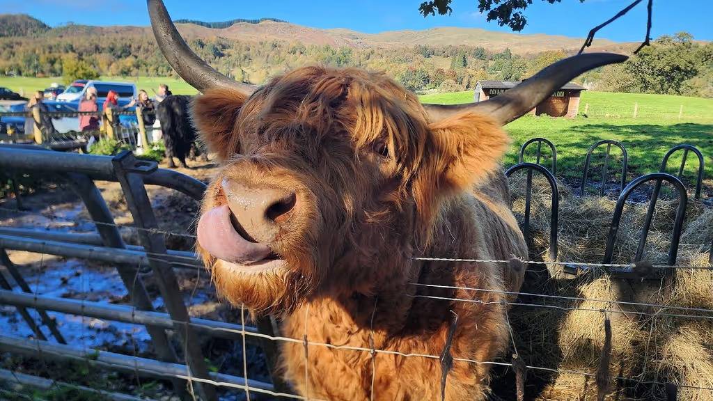 Scotland,© Jainvoyagers group