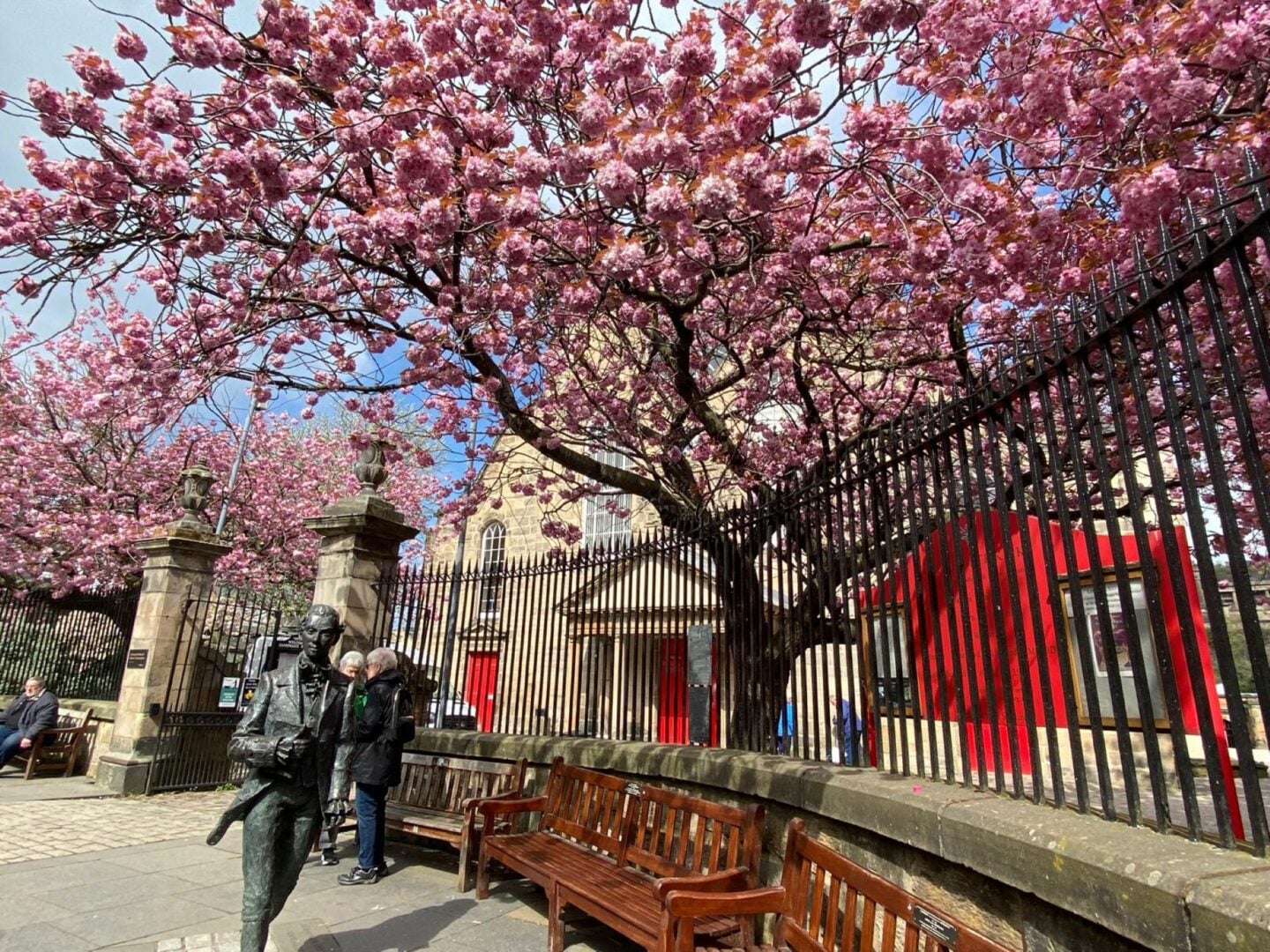 Pink cherry blossom outside a church building.