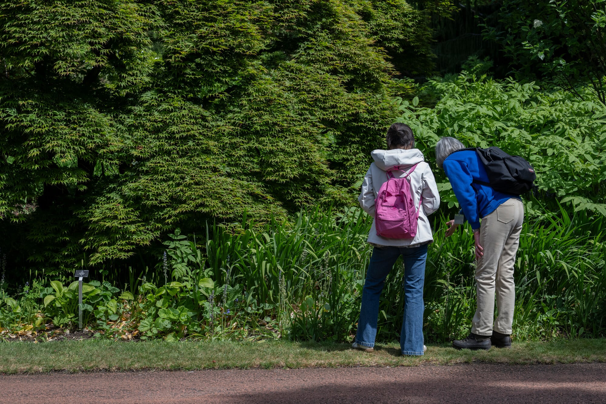 Cream Tea Tours at Royal Botanic Garden Edinburgh