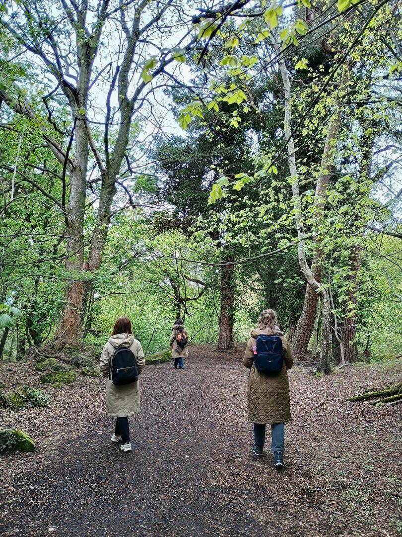trees in Corstorphine hill