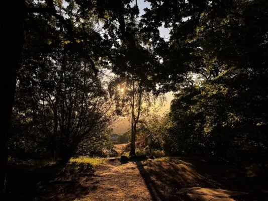 Sunset at Corstorphine Hill
