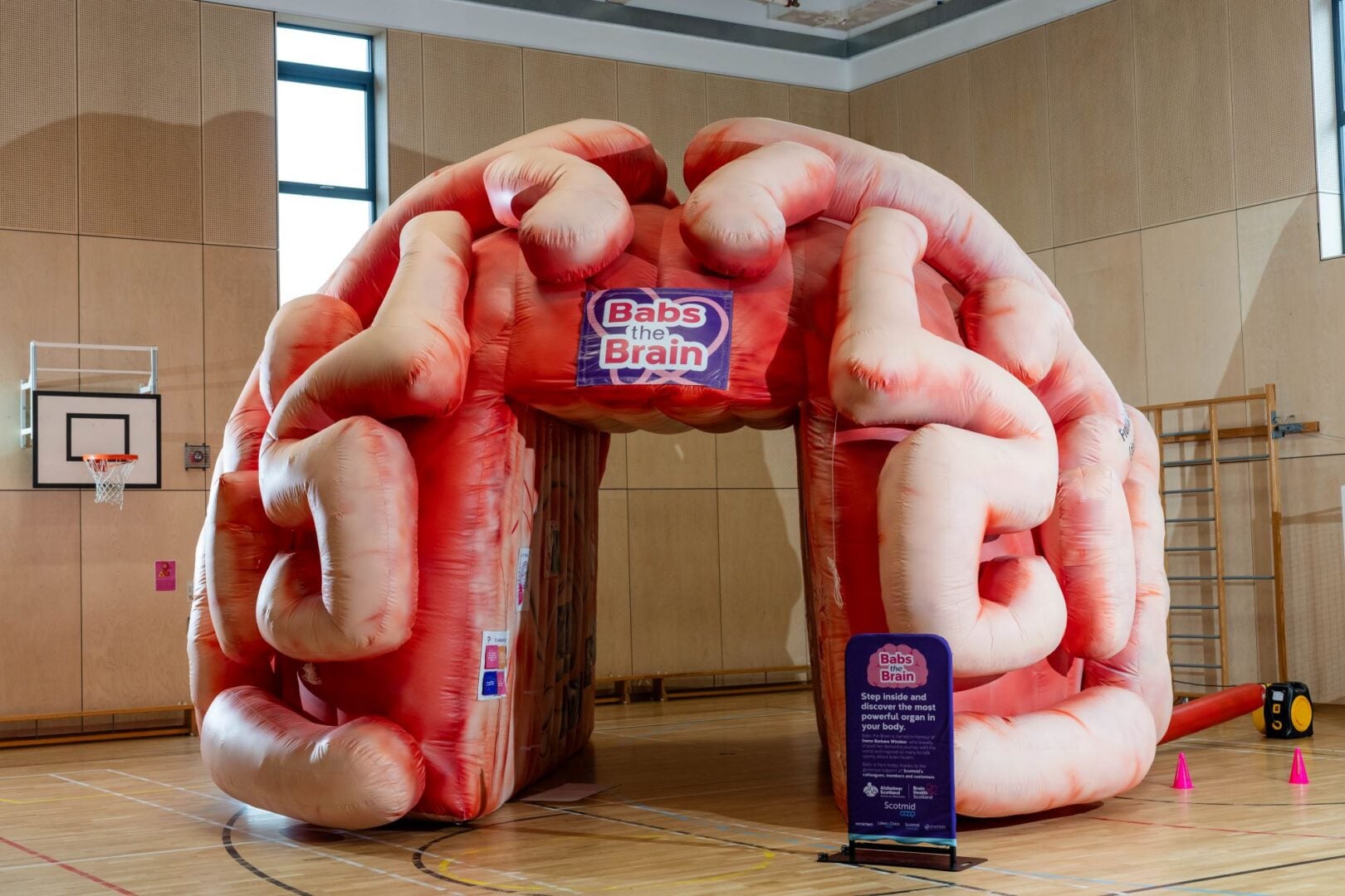 A large, pink inflatable brain, set up in a gym hall.