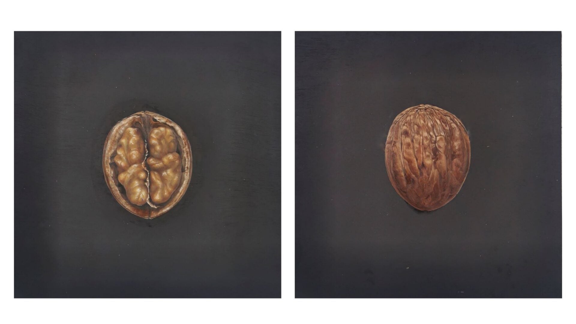 A painting of a walnut, shown both open and closed.