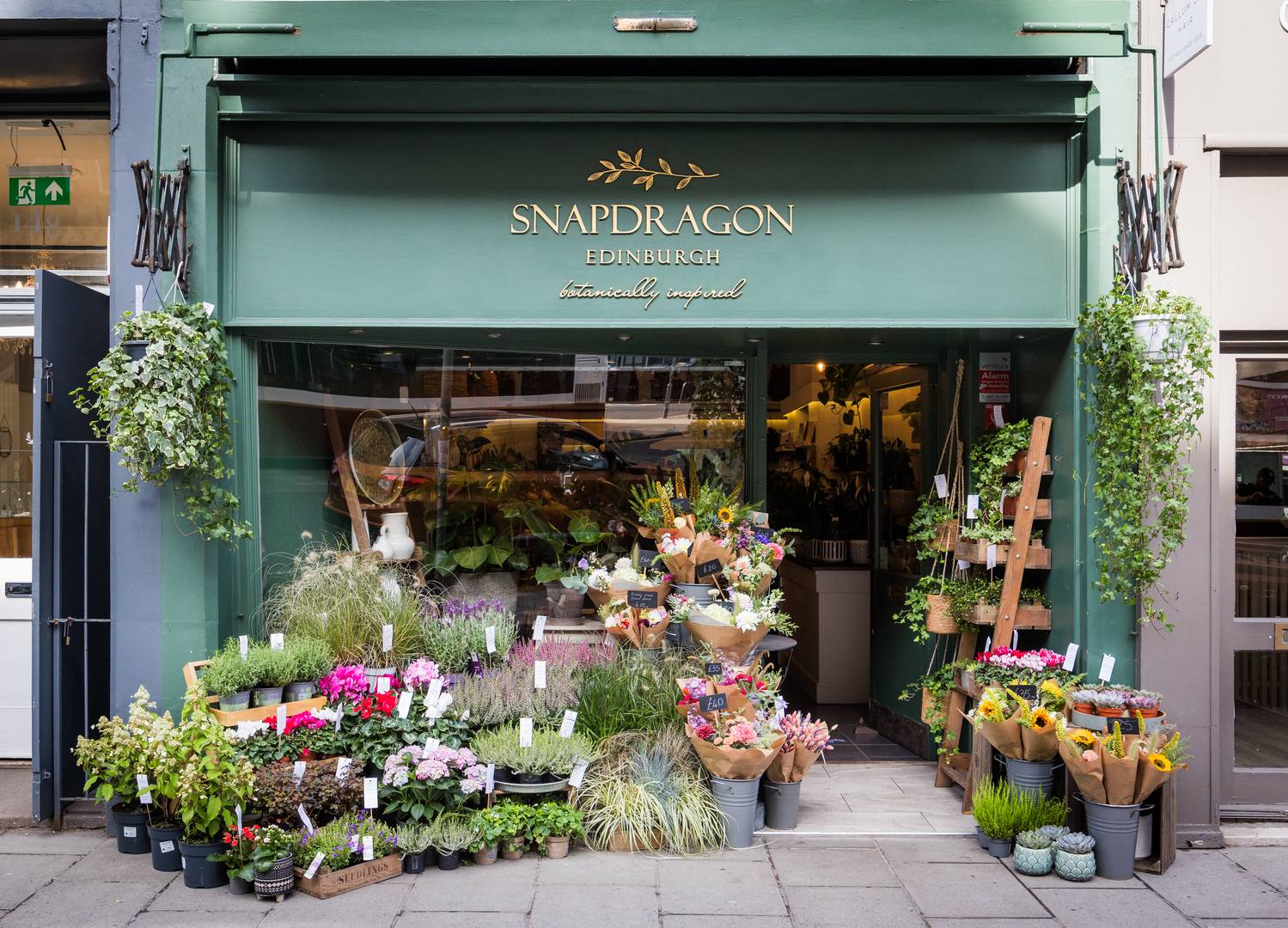 Exterior of Snap Dragon