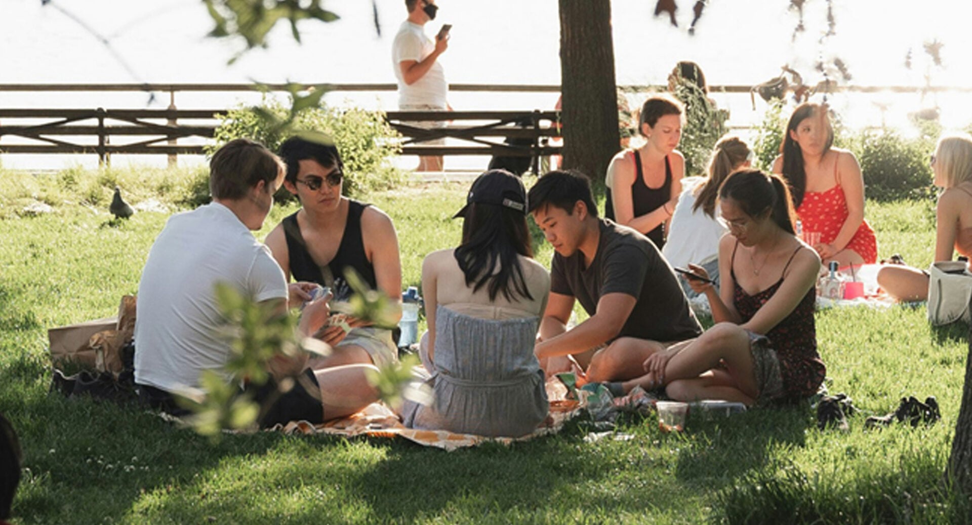 A group of people having a picnic on a grassy area.