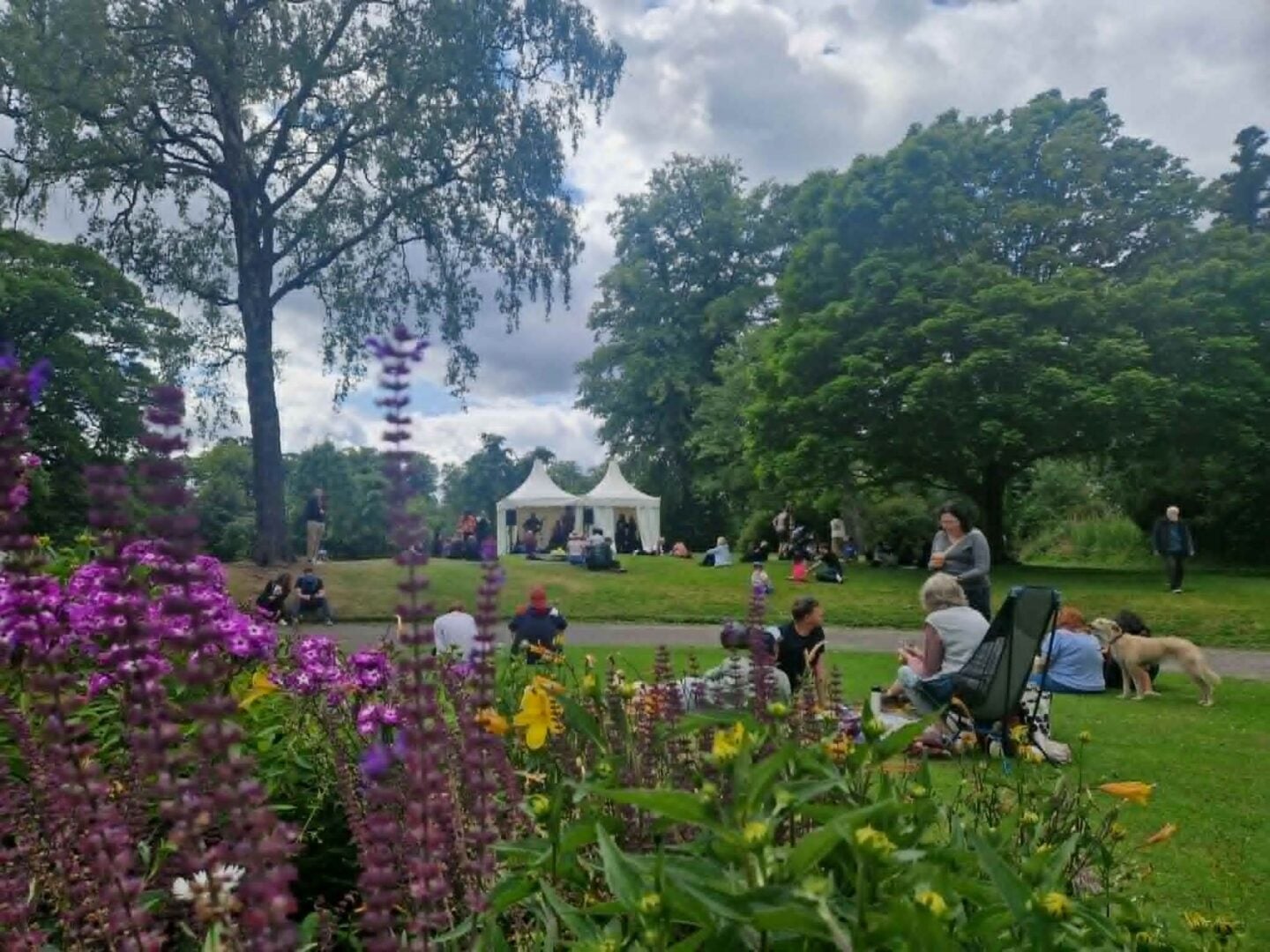 People gathered in a park, filled with brightly coloured flowers.