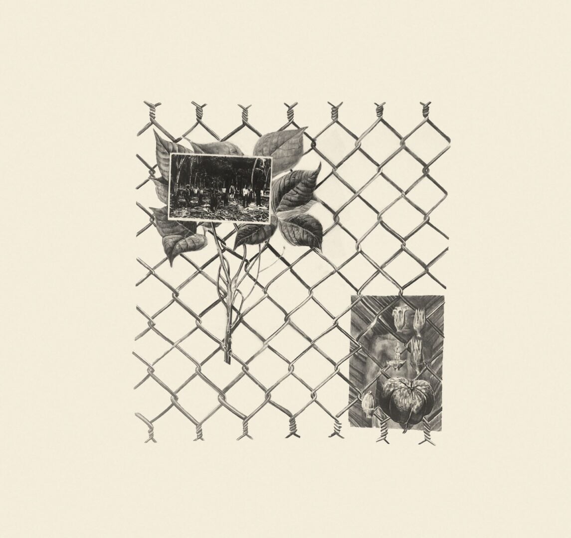 Painting of flower against barb wire.