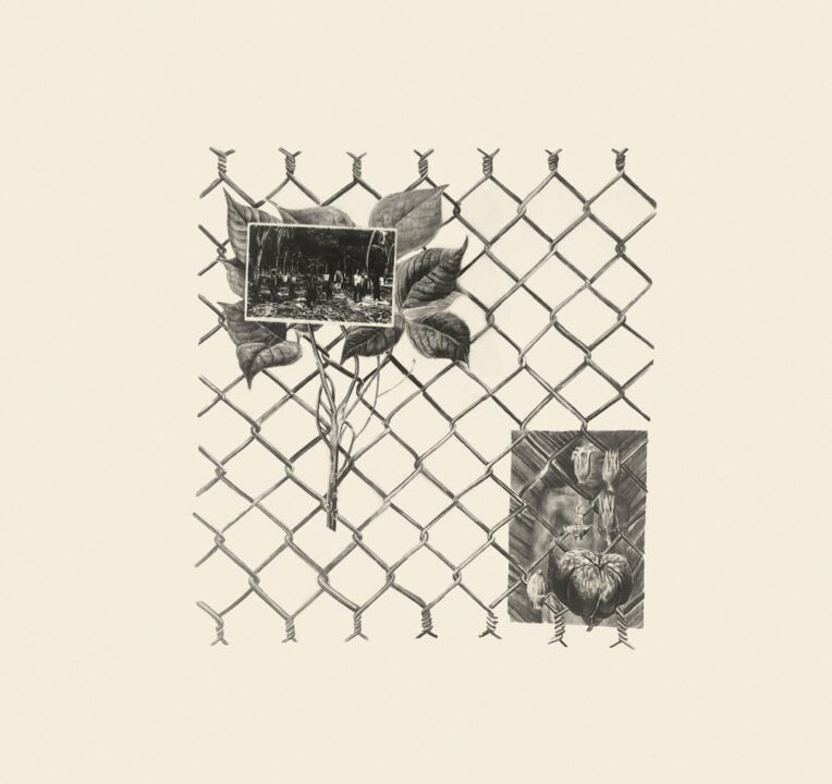 Painting of flower against barb wire.