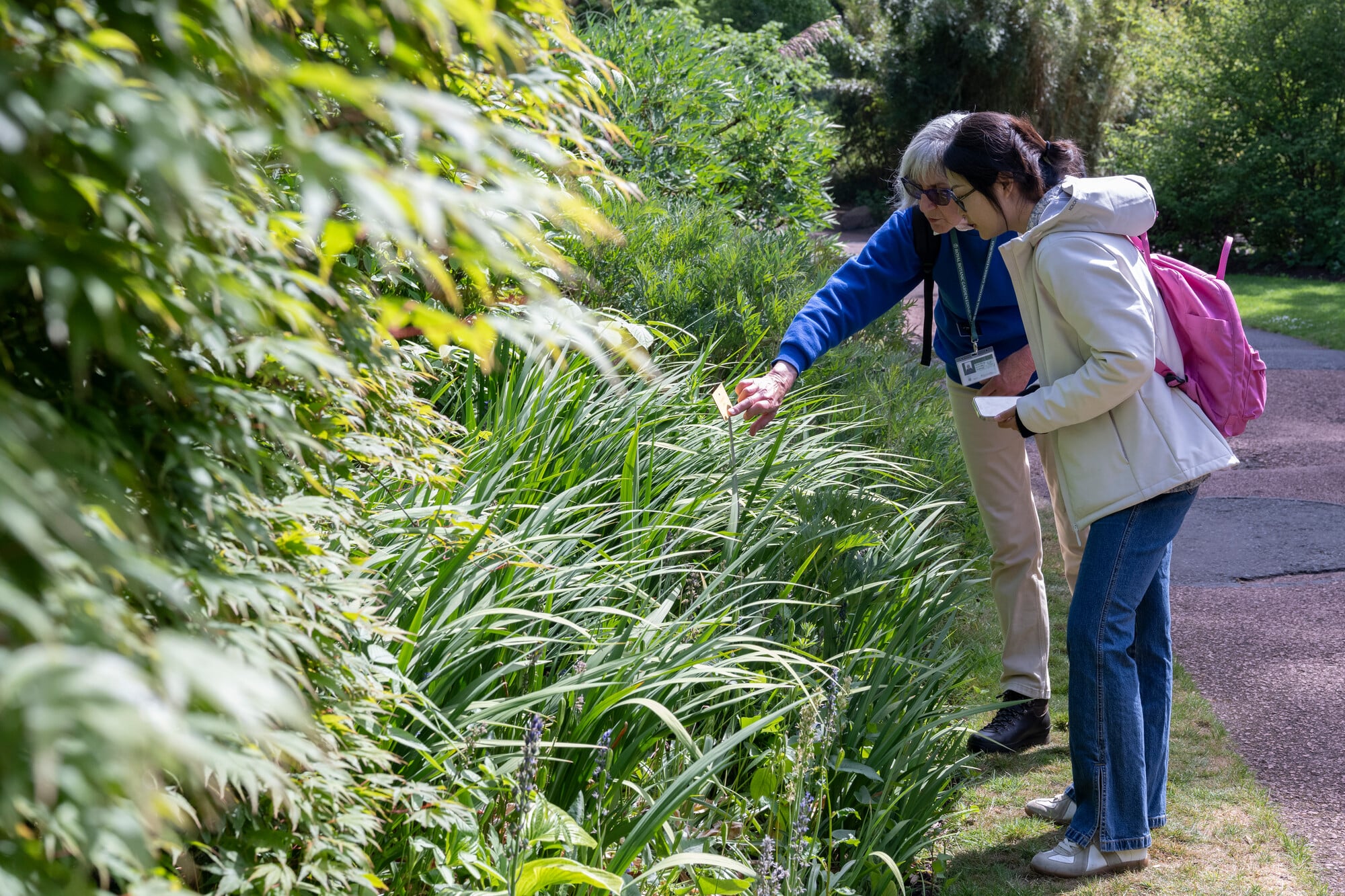 Daily Guided Garden Tours at Royal Botanic Garden Edinburgh