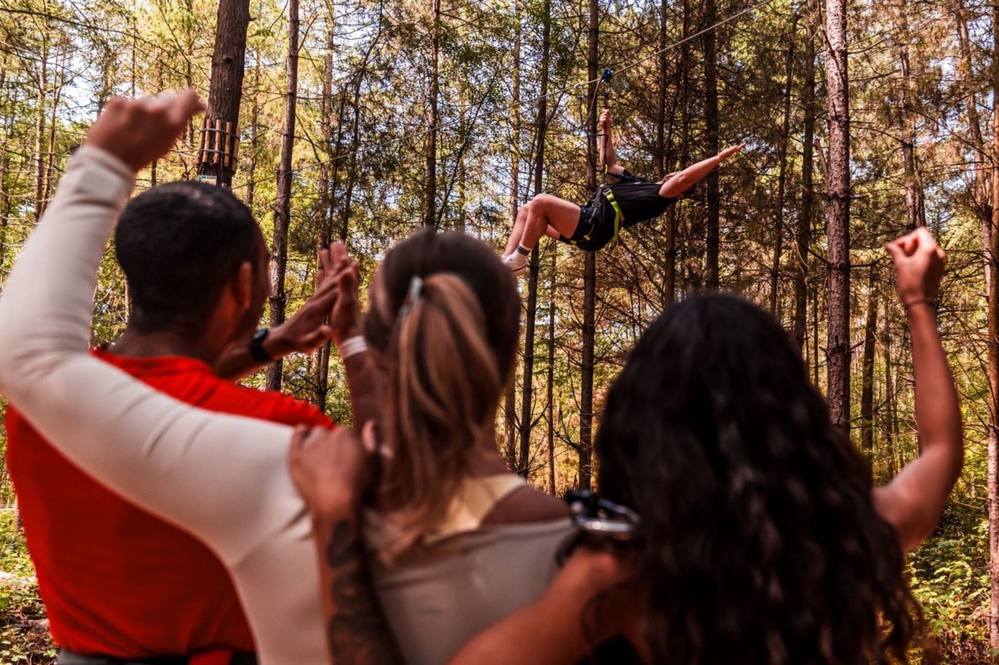 Treetop Challenge: Adults-only at Go Ape Dalkeith